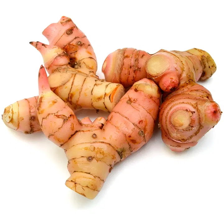 Satotukku galangajuuri