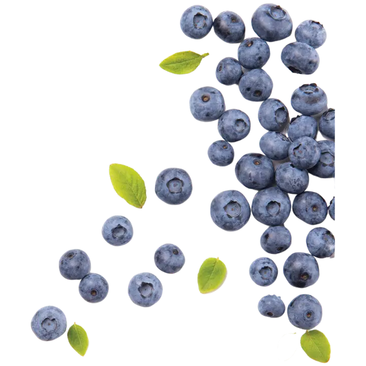 Stay Well Vegan Sheet Mask - BLUEBERRY