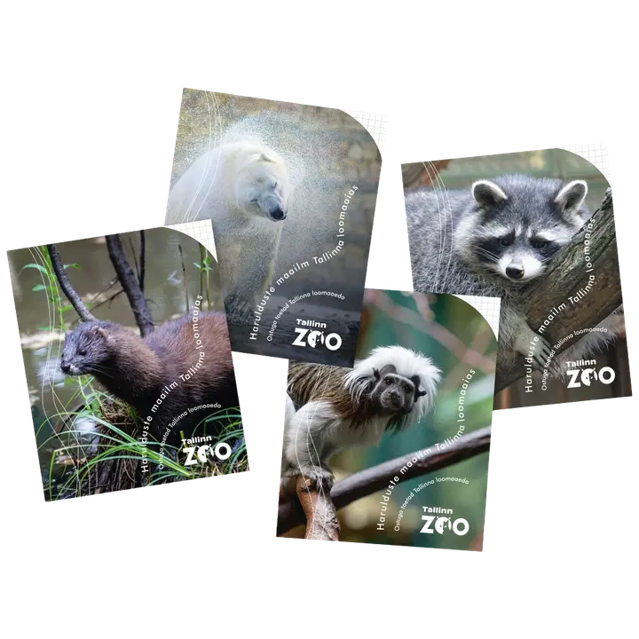 Kaustik loomaaed 165x205mm 5x5 ruut 36