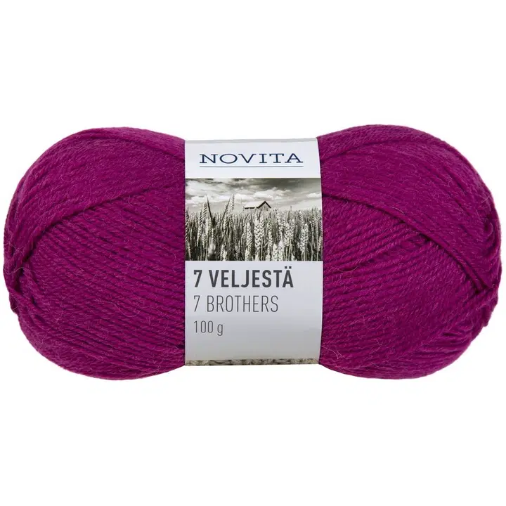Novita 7 veljestä 100g kaunokki 563