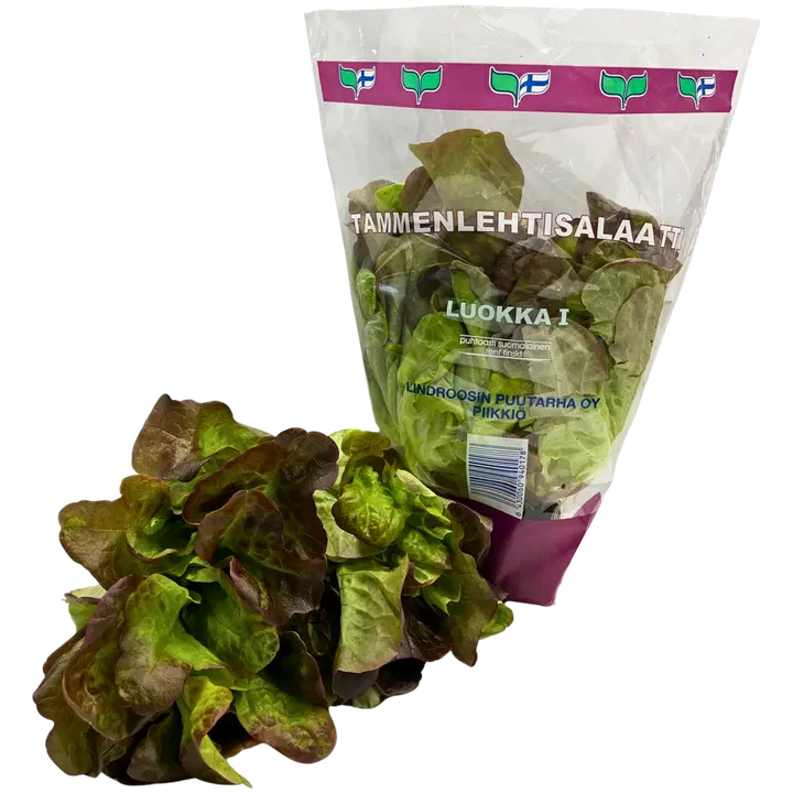 Lindroosin Puutarha Tammenlehtisalaatti 115 g
