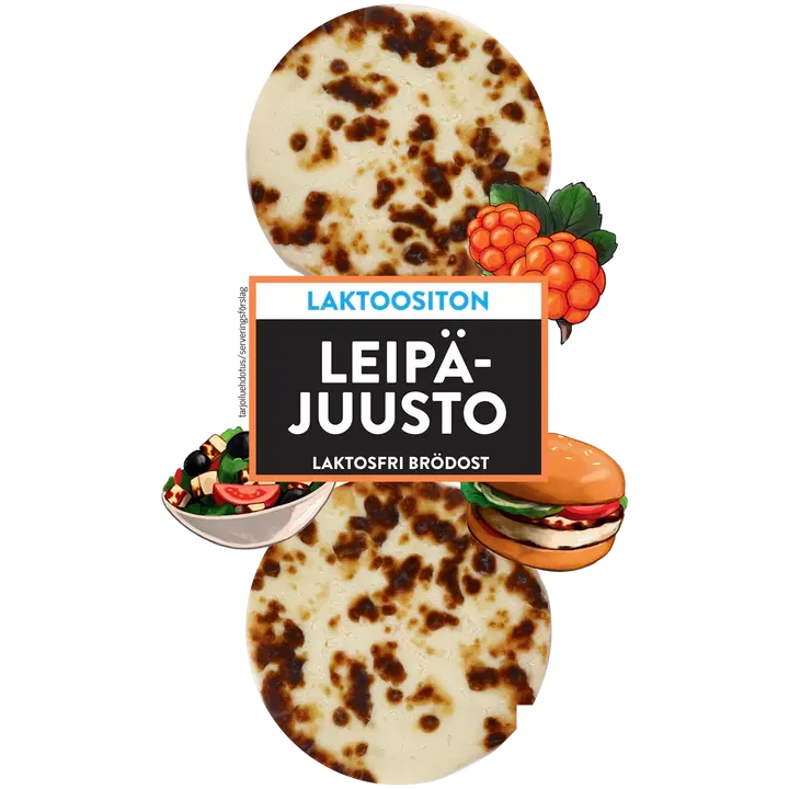 Juustoportti leipäjuusto 2 x n.60 g/120 g laktoositon