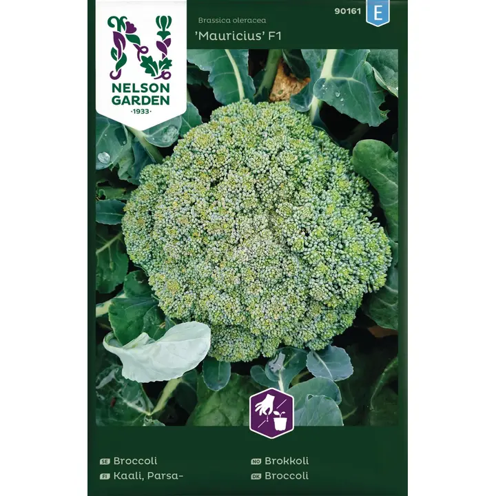 90161 brokol mauricius f1