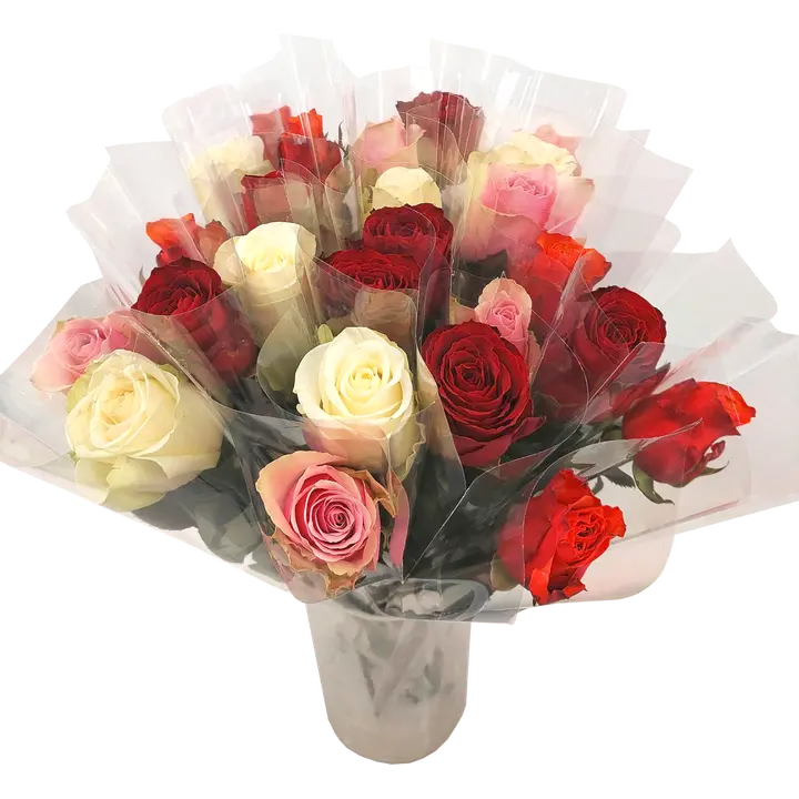 Ruusu 60cm, yksittäin pakattu, sis. vesisuppilo, värilajitelma