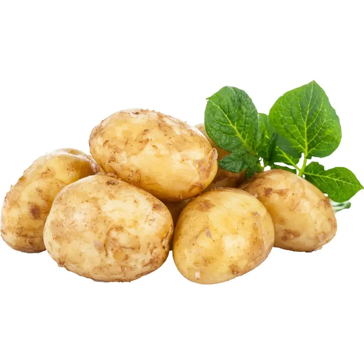 Kasvihuone varhaisperuna