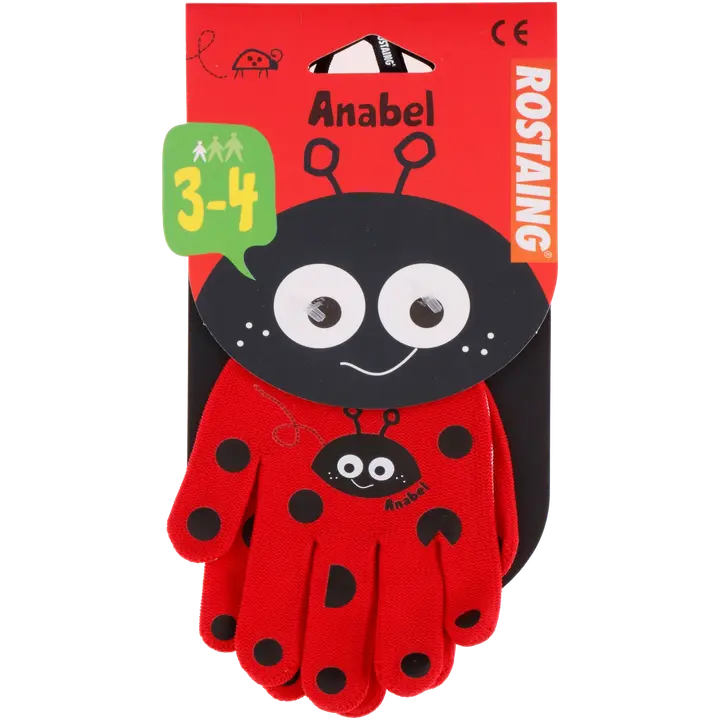 Kindad lastele lepatriinu Anabel 3-4a