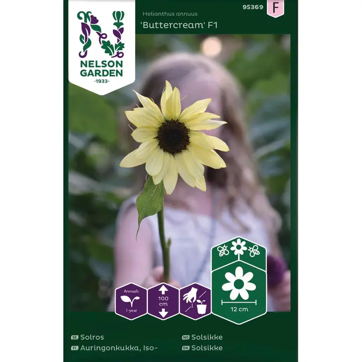 95369 päevalill buttercream f1