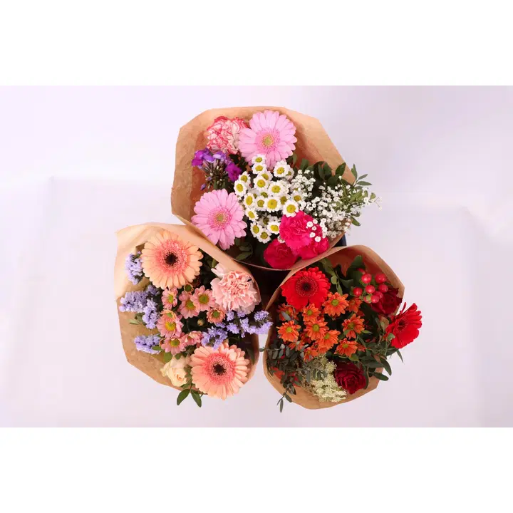 Kimppu Aurora, sekakimppu 3 eri sävyssä, 11 oksaa, 45cm