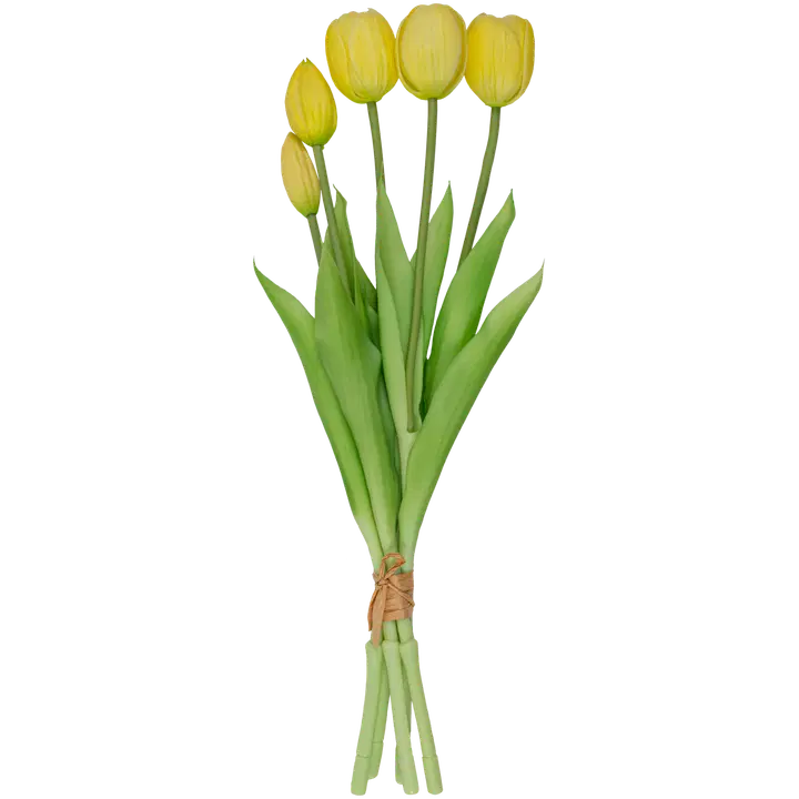 Tulbikimp kollane 39 cm