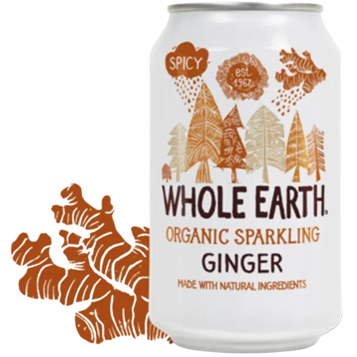 Whole Earth Luomu hiilihapotettu inkiväärijuoma 330ml