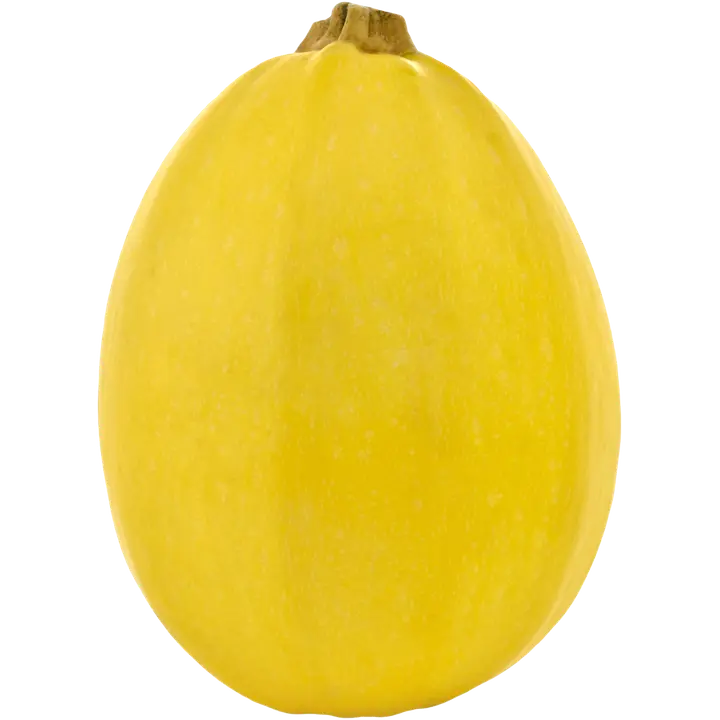 Spagettikurpitsa luomu