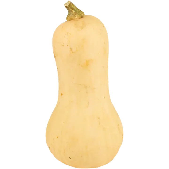 Myskikurpitsa luomu