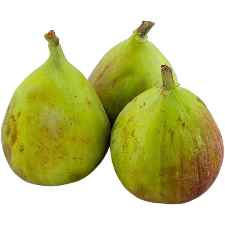 Tuore viikuna