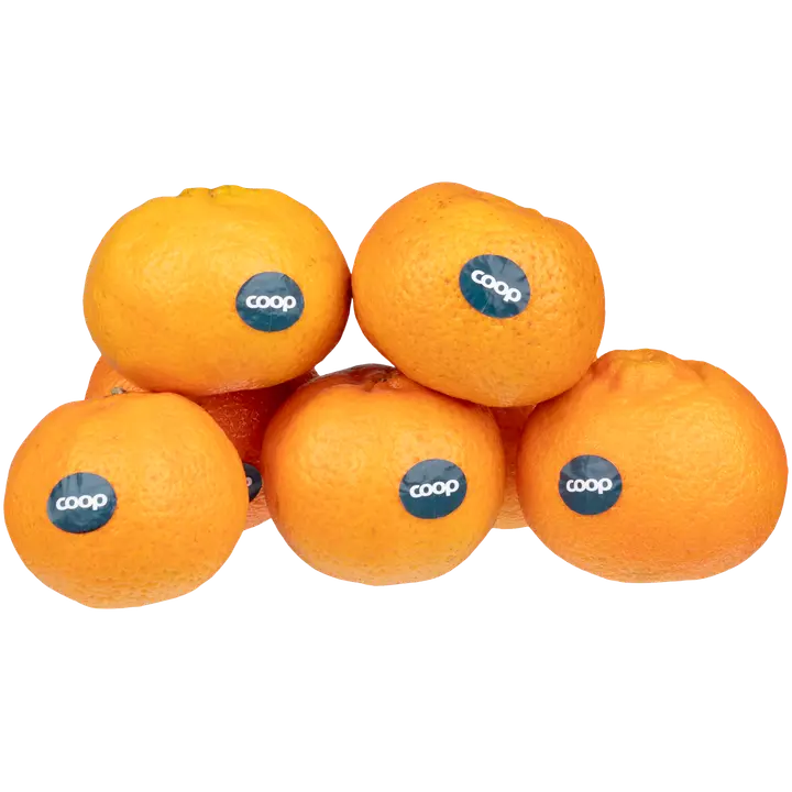 Klementiini