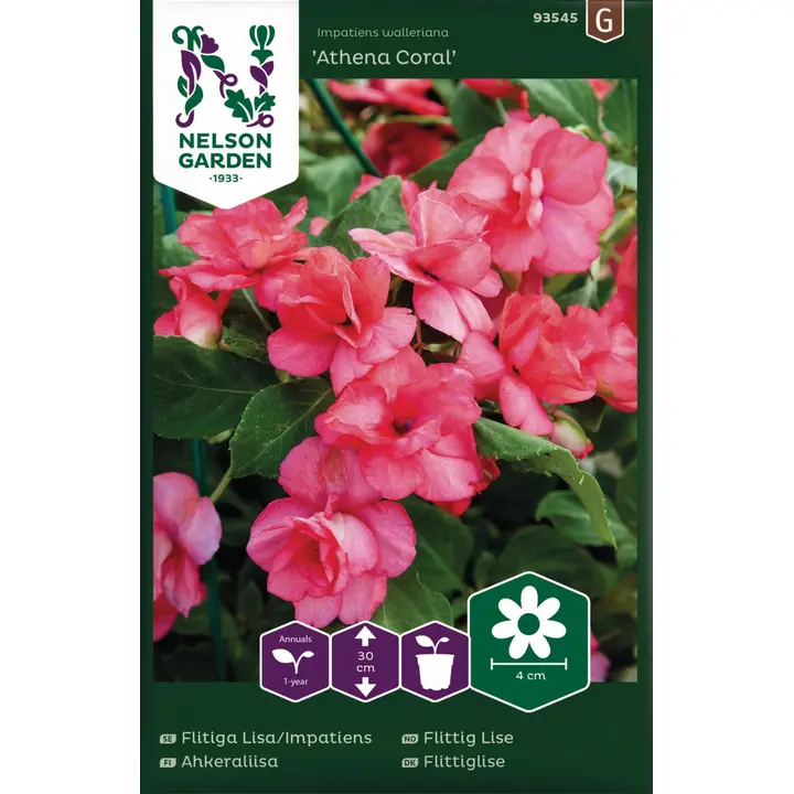93545 aedimpatiens athena coral f1
