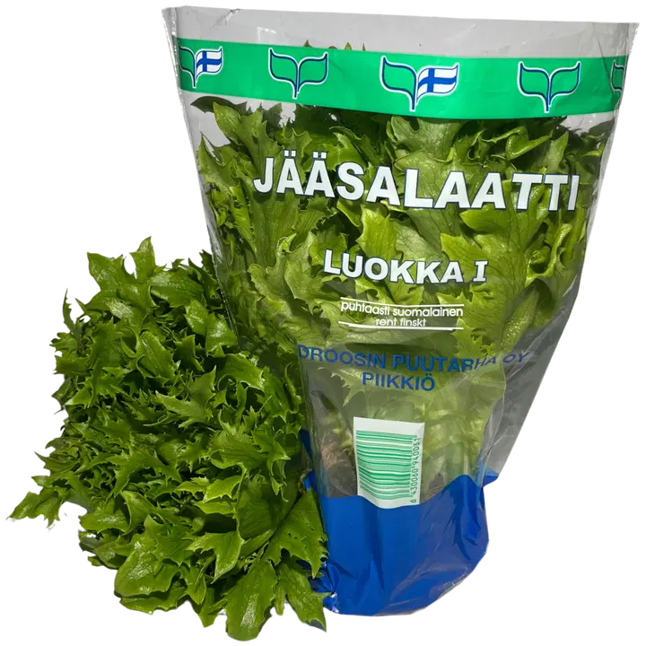 Lindroosin Puutarha Ruukkujääsalaatti 120 g