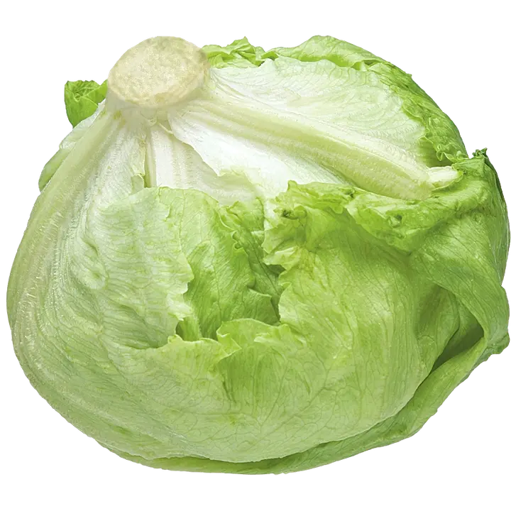 Jäävuorisalaatti pakattu