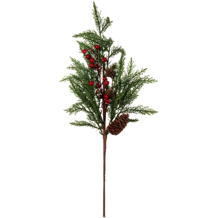 Marjaoks okaspuu 65 cm