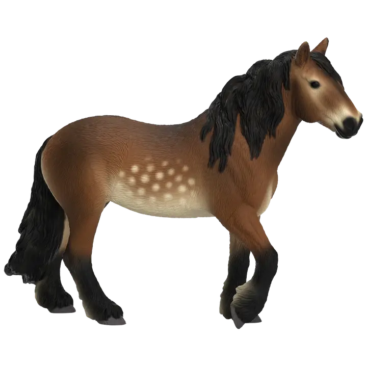 Põhja rootsi külmavereline mära