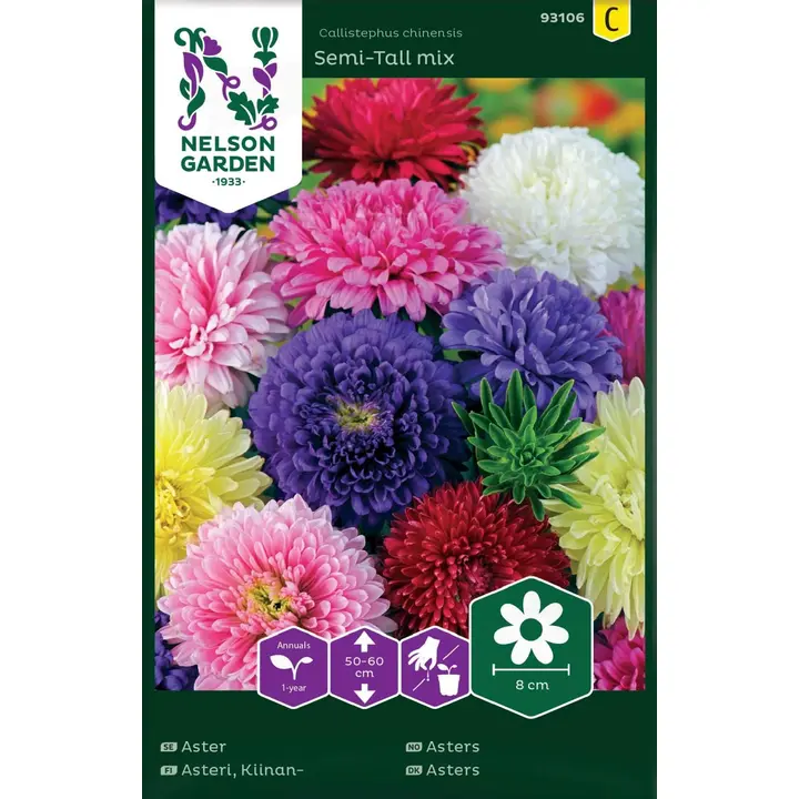93106 aster semi-tall väriseos
