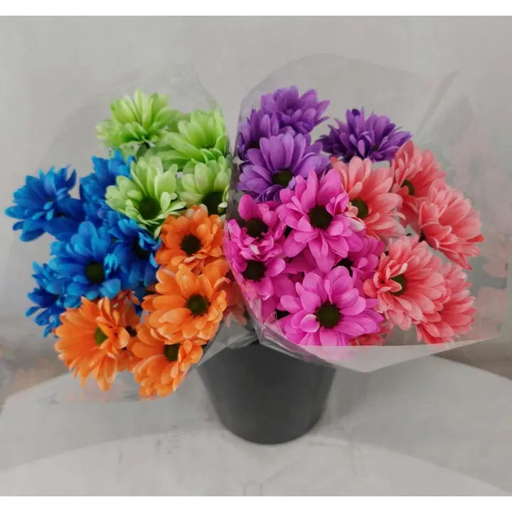 Kürsanteemi mix kimp 3tk