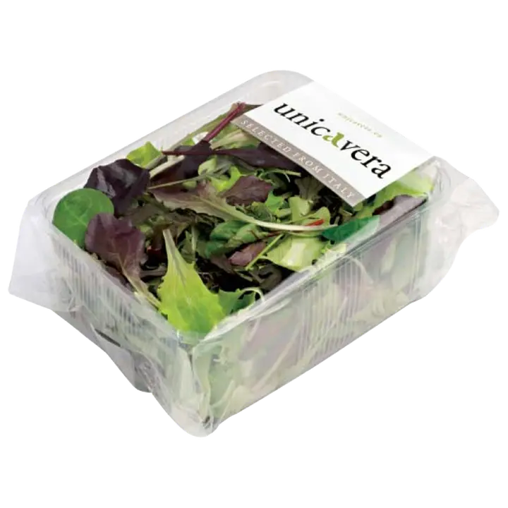 Salat Mesculum 100g