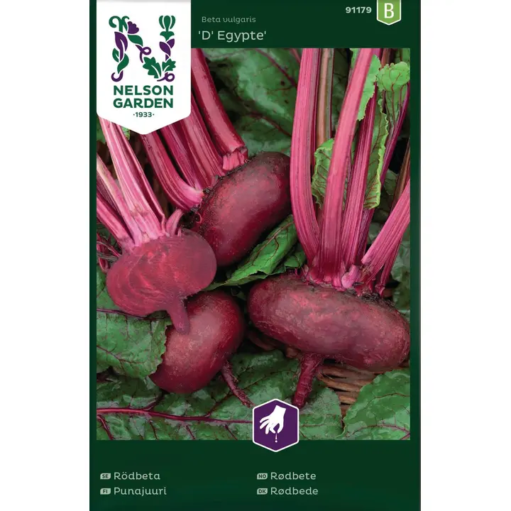 91179 punapeet, d' egypte