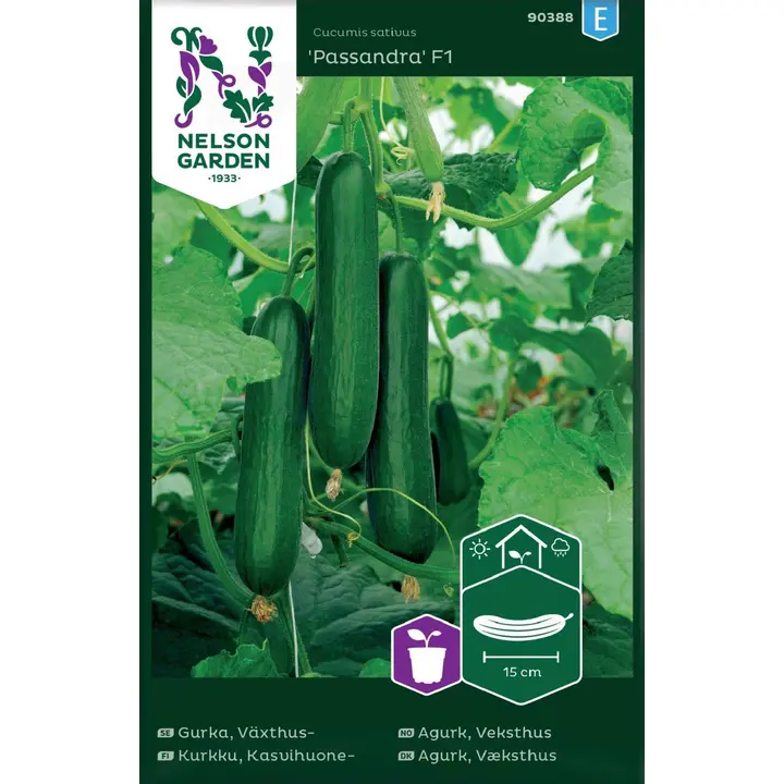 90388 kurk, kasvohoone passandra f1