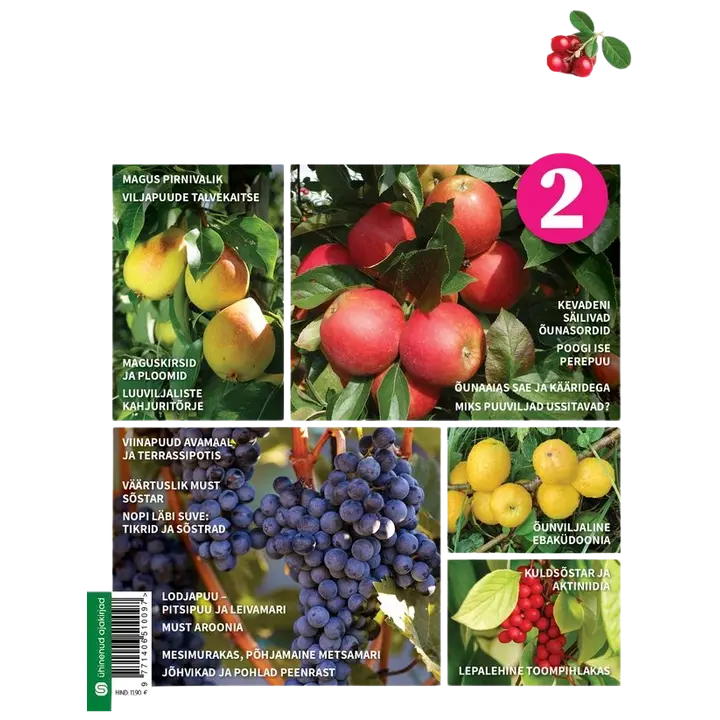 Viljapuud ja marjapõõsad II