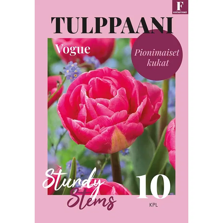 Tulppaani, Tulipa Vogue 11/12, 10kpl