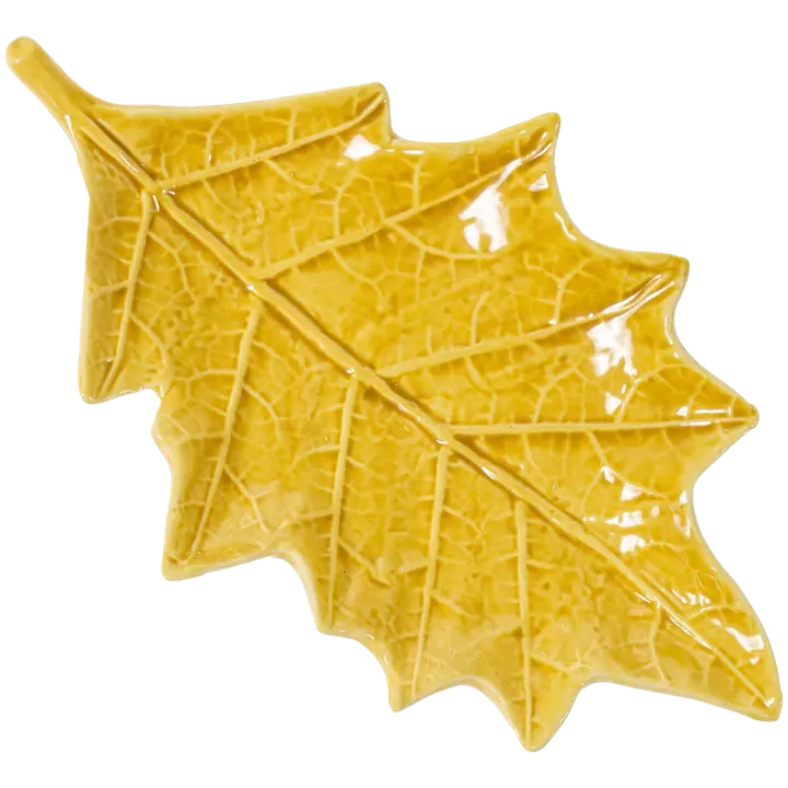 Taldrik tammeleht kollane