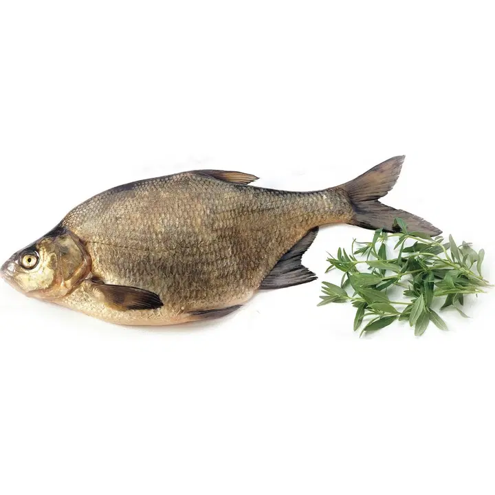 Järvi-Suomen Kalatuote lahna kokonainen