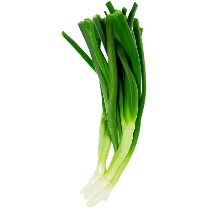 Kevätsipuli