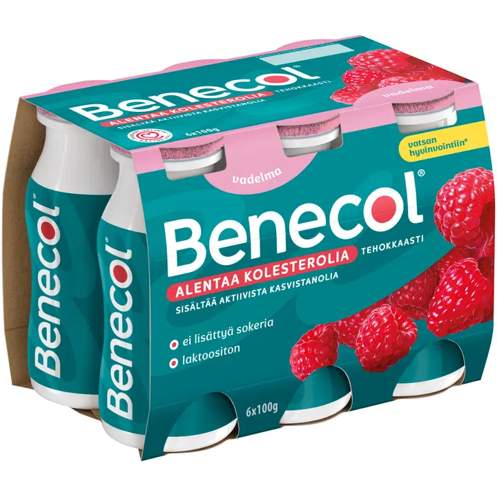 Benecol 6x100g vadelma jogurttijuoma