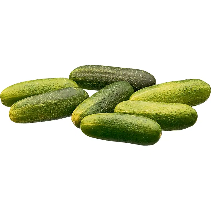 Herkkumaa viipalekurkku