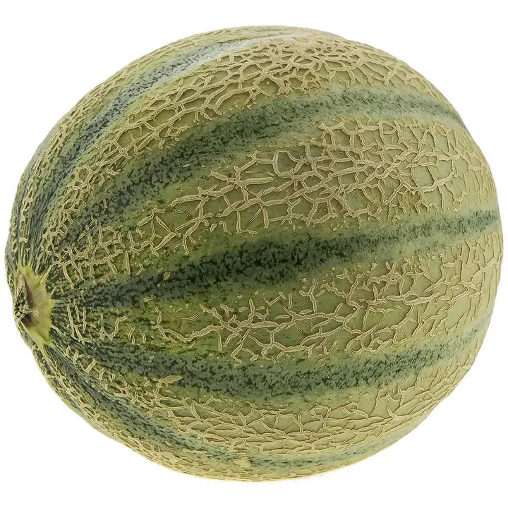 Cantaloupemeloni