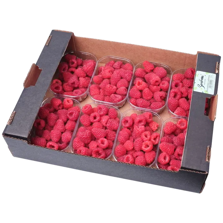Suvena vadelmalaatikko 1,4 kg