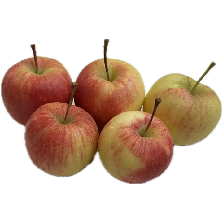 Rahkosen omena, Zari