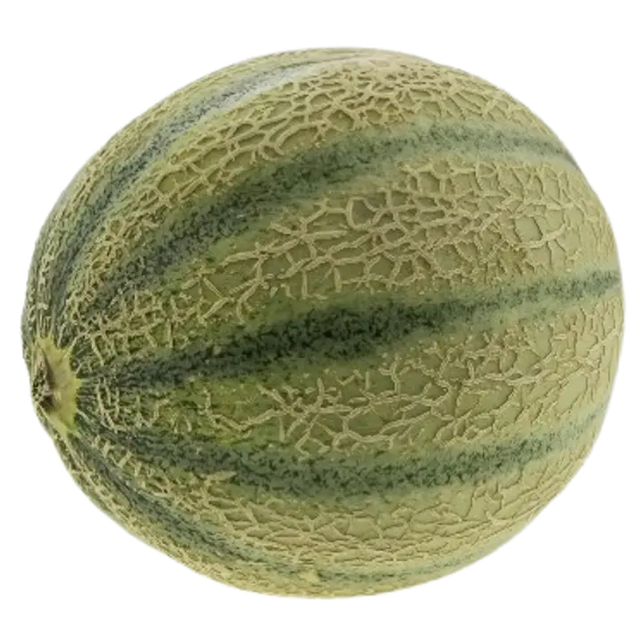 Melon Canatloupe
