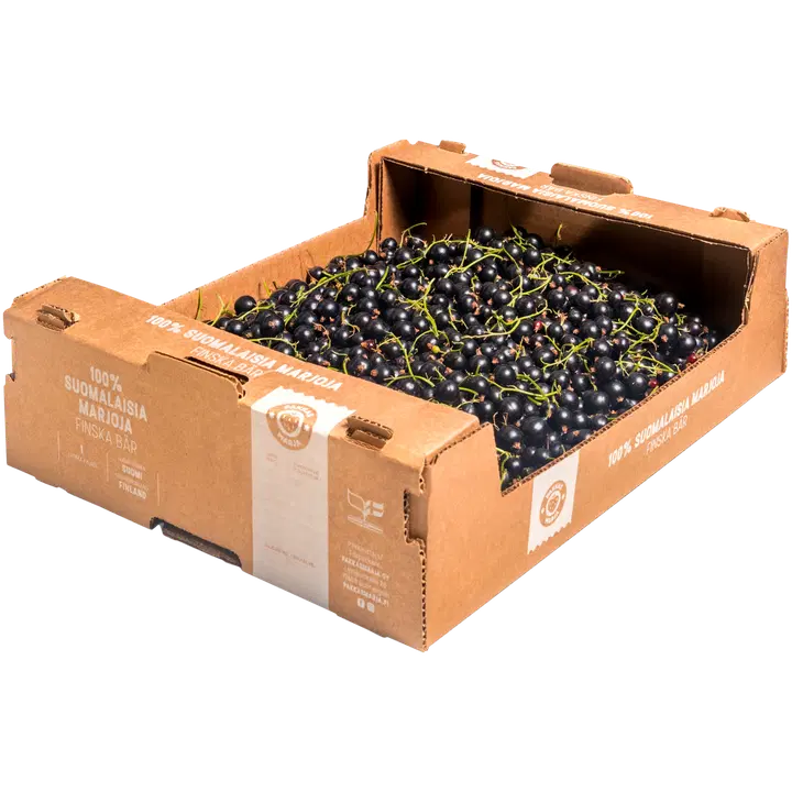 Pakkasmarja 3kg finländska svart vinbär