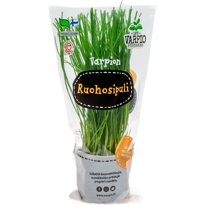 Varpio Ruohosipuli
