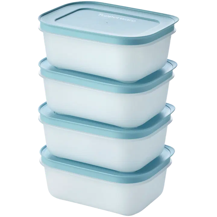 Tupperware rasiasetti FreezerSmart 4 x 450 ml