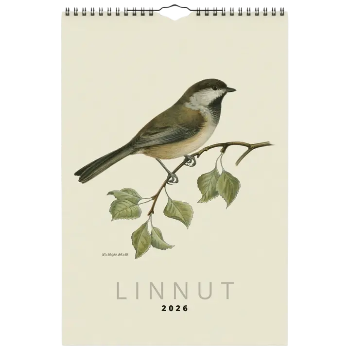 Seinäkalenteri ART COLLECTION Linnut von Wright