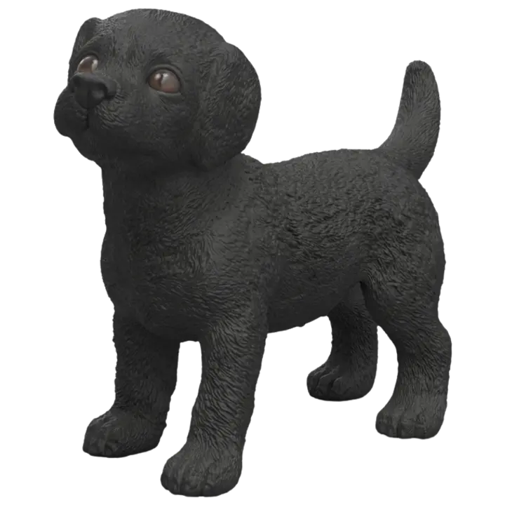 Must labradori retriiveri kutsikas