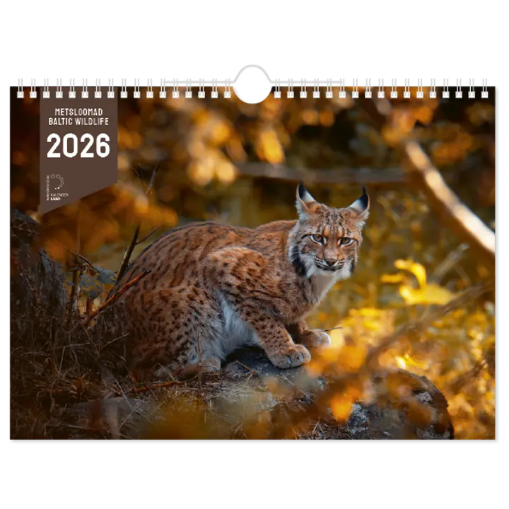 KALENDER METSLOOMAD, ART LANDSCAPE