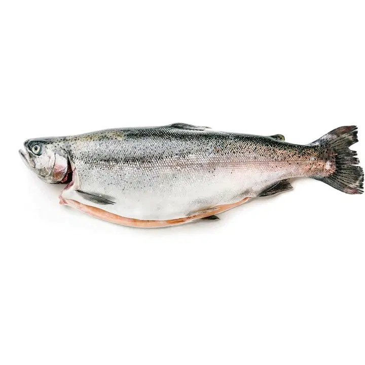 Kalaneuvos Tuore kokonainen lohi 1-2kg n20kg