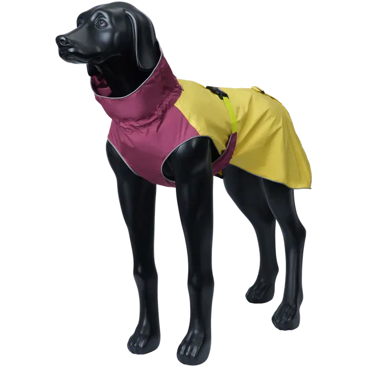 Icepeak Pet sadetakki Dewy S kiivi