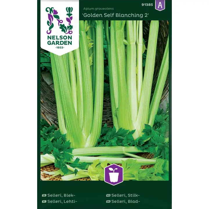 91385 seller golden self blanching 2