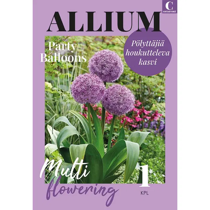 Laukka, Allium Party Balloons 18/20 1kpl
