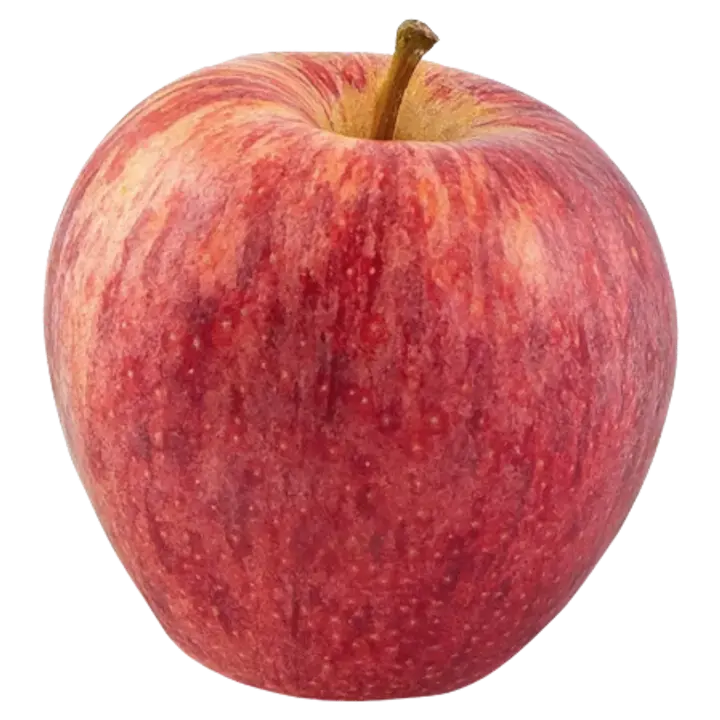 Mahe õun Royal Gala I klass FR-BIO-01